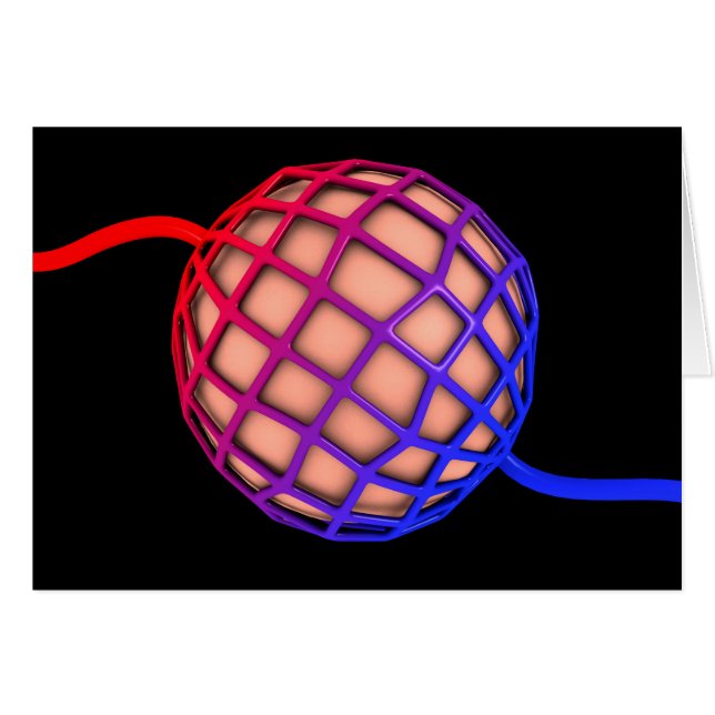 肺胞の概念像 (正面横)