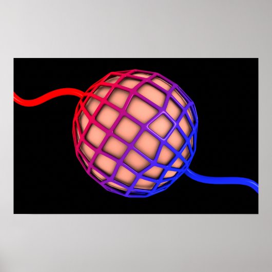 肺胞の概念像 ポスター (正面)