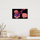 肺胞の概念図2 ポスター (キッチン)