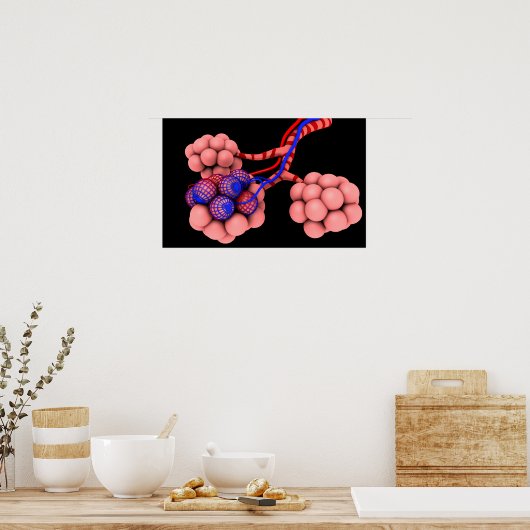 肺胞の概念図2 ポスター (キッチン)