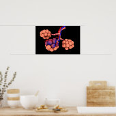 肺胞の概念図3 ポスター (キッチン)