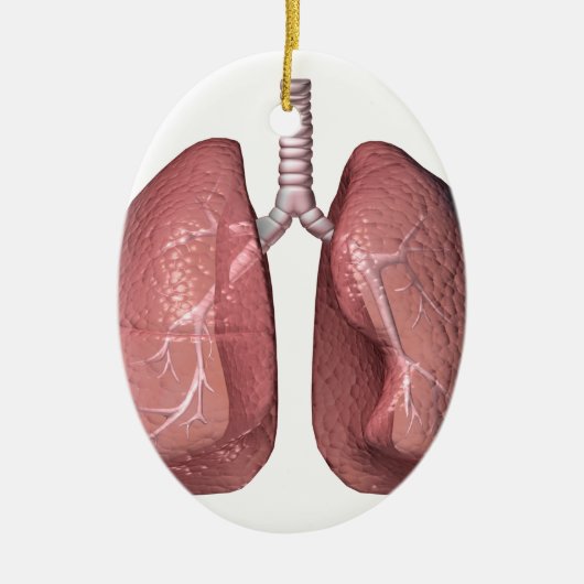 肺 セラミックオーナメント (正面)
