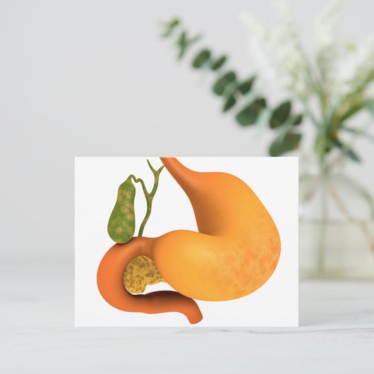 胃胆嚢 ポストカード (スタンド正面)