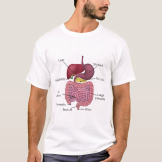 胃腸消化系およびラベル Tシャツ