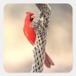 胆嚢（鳥）ショウジョウコウカンチョウ スクエアシール