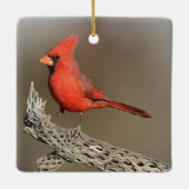 胆嚢(鳥)ショウジョウコウカンチョウ セラミックオーナメント (裏面)