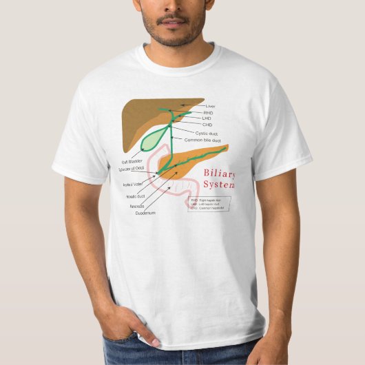 胆汁の系統図の図表の胆管 Tシャツ (正面)