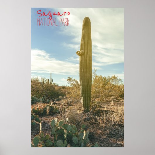 背が高い ポスター (正面)