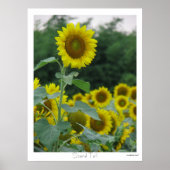 背が高い ポスター (正面)