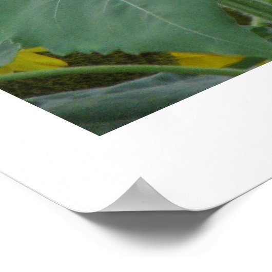 背が高い ポスター (角)