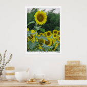 背が高い ポスター (キッチン)