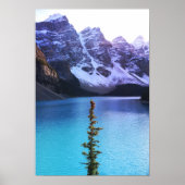 背が高い ポスター (正面)