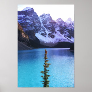 背が高い ポスター