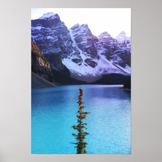 背が高い ポスター (正面)