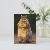 背が高い ポストカード (スタンド正面)