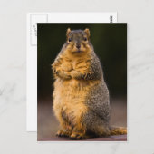 背が高い ポストカード (正面/裏面)