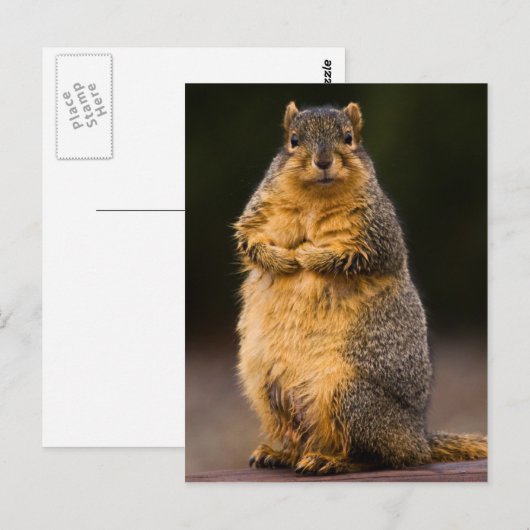 背が高い ポストカード (正面/裏面)