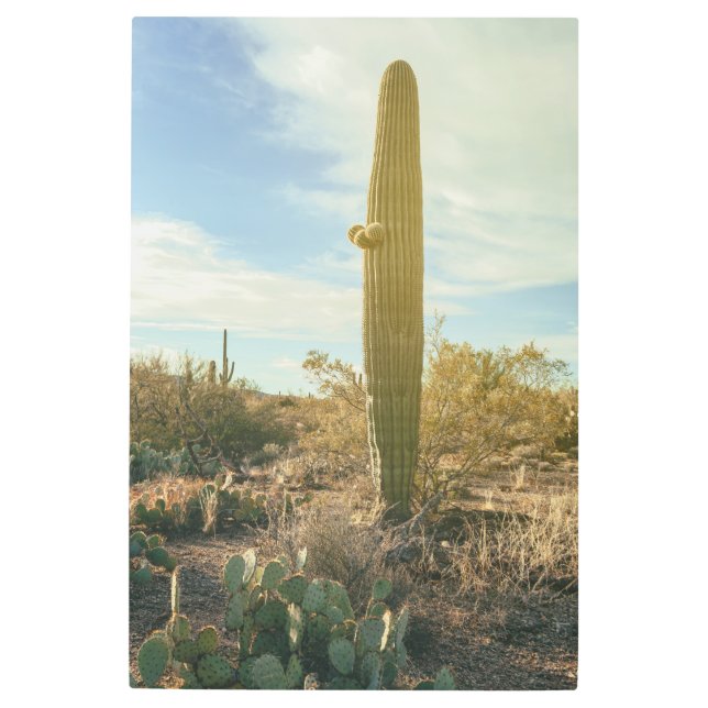 背が高い メタルプリント (正面)