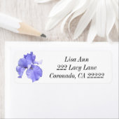 背の高いひげ紫色の虹彩 ラベル (インサイチュ)