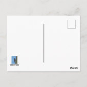 背の高いサボテンのアリゾナ・ギラ・ウッドペッカーの動物 ポストカード (裏面)