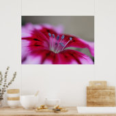 背の高いスタンド – 花 ポスター (キッチン)