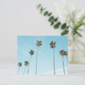 背の高いヤシの木ライトブルースカイ シーズンポストカード (スタンド正面)