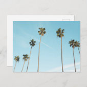 背の高いヤシの木ライトブルースカイ シーズンポストカード (正面/裏面)