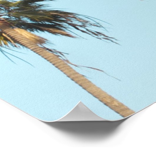 背の高いヤシの木ライトブルースカイ ポスター (角)