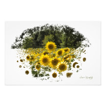 背の高い人が一人