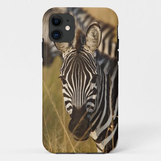 背の高い夏の草むらの中のサバンナシマウマ、マサイ Case-Mate iPhoneケース (裏面)
