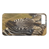 背の高い夏の草むらの中のサバンナシマウマ、マサイ Case-Mate iPhoneケース (裏面(横))