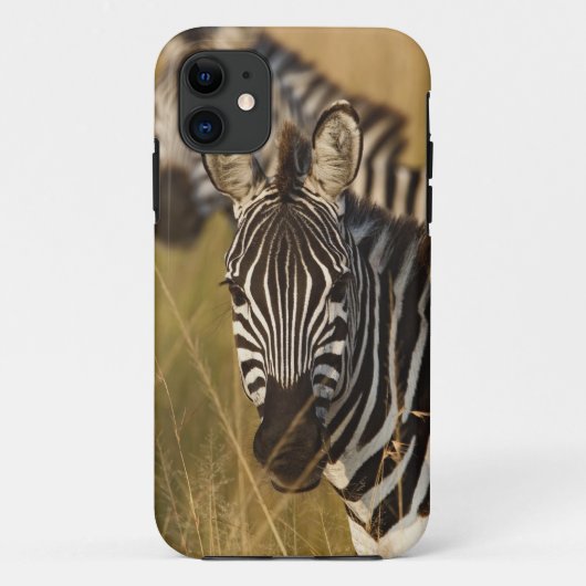 背の高い夏の草むらの中のサバンナシマウマ、マサイ Case-Mate iPhoneケース (裏面)