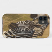 背の高い夏の草むらの中のサバンナシマウマ、マサイ Case-Mate iPhoneケース (裏面(横))