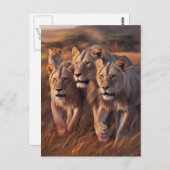 背の高い威厳のある草を徘徊するトリオ ポストカード (正面/裏面)
