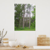 背の高い木のポスター ポスター (キッチン)