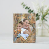 背の高い木、紅葉、ブルーバード。アナウンセメン 案内ポストカード (スタンド正面)