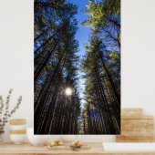 背の高い松,クルミの木のメトロパーク,グローポート, OH ポスター (キッチン)