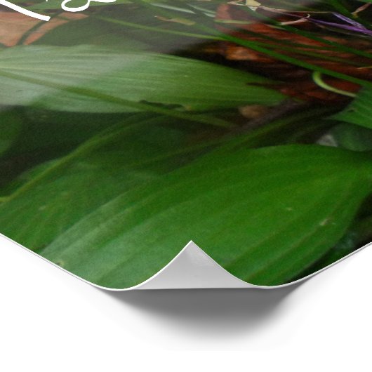 背の高い知恵の緑のポスター ポスター (角)