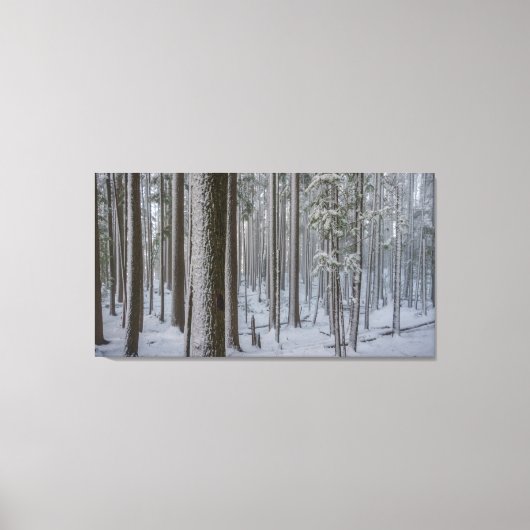 背の高い立#1 キャンバスプリント (正面)