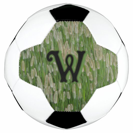 背の高い緑の草種 サッカーボール (正面)