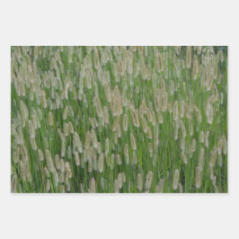 背の高い緑の草種 ラッピングペーパーシート