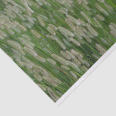 背の高い緑の草種 薄葉紙 (詳細)