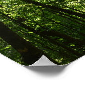 背の高い自然 ポスター (角)