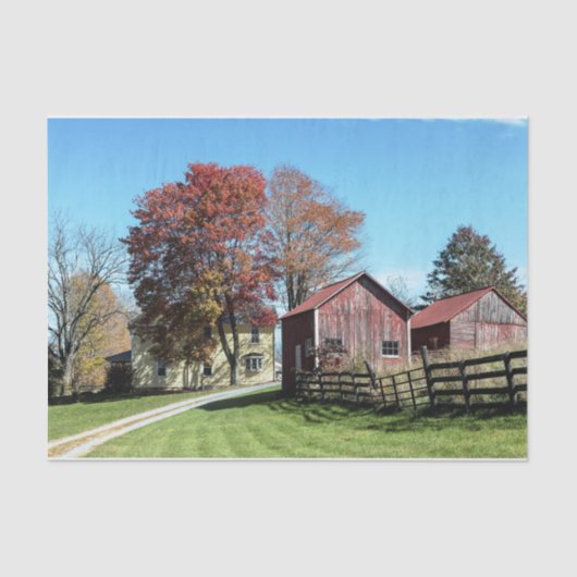 背の高い草とフェンスを持つ風化された赤い樹皮 薄葉紙 (正面)