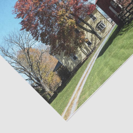 背の高い草とフェンスを持つ風化された赤い樹皮 薄葉紙 (詳細)