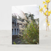 背の高い草のアーチ窓 – Martha's Vineyard カード (黄色い花)