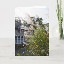 背の高い草のアーチ窓 – Martha's Vineyard