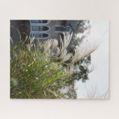 背の高い草のアーチ窓 – Martha's Vineyard ジグソーパズル (横)
