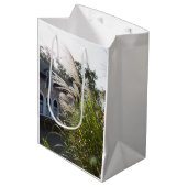 背の高い草のアーチ窓 – Martha's Vineyard ミディアムペーパーバッグ (正面アングル)