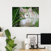 背の高い草のポスターの黄色い子猫 ポスター (ホームオフィス)